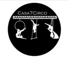 Imagem de perfil do parceiro Casa 7 Circo - Aulas de tecido acrobático, lira e trapézio