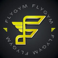 Imagem de perfil do parceiro Fly Gym