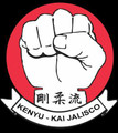Imagen de perfil del partner Kenyukai Karate