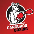 Imagen de perfil del partner Canguros Boxing Lindavista