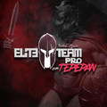 Imagen de perfil del partner Elite Team Pro Gym Tepepan