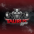 Imagen de perfil del partner Taurus GYM