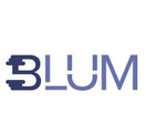 Imagen de perfil del partner Blum