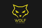 Imagem de perfil do parceiro Centro de Treinamento Wolf
