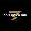 Imagen de perfil del partner Magness Gym