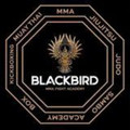 Imagen de perfil del partner Blackbird Mixed Martial Arts