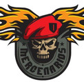 Imagen de perfil del partner Mercenarios Crosstraining
