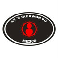 Imagen de perfil del partner An's Tae Kwon Do Raptors