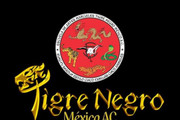 Imagen de perfil del partner Kung Fu Tigre Negro