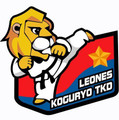 Imagen de perfil del partner Taekwondo Koguryo Leones Camacho
