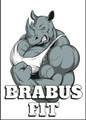 Imagem de perfil do parceiro Brabus Fit - Yervant