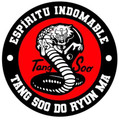 Imagen de perfil del partner Academia Karate Santa Rosa
