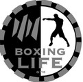 Imagen de perfil del partner BOXING LIFE
