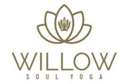 Willow Soul Yoga- Otsego Partner profile image