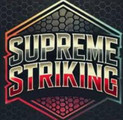 Supreme Striking Martial Arts Partner profile image