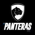 Imagen de perfil del partner Panteras Taekwondo Guadalajara