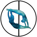 Fly Together Fitness Watertown Partner profile image