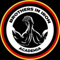 Imagem de perfil do parceiro Brothers in Iron