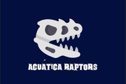 Imagen de perfil del partner Acuatica Raptors