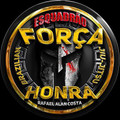 Imagem de perfil do parceiro Esquadrão Força e Honra