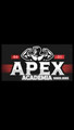 Imagem de perfil do parceiro Apex Academia
