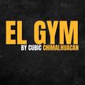 Imagen de perfil del partner El Gym By Cubic Bordo