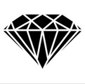 Black Diamond Gym & Spa Main Street Partner profile image