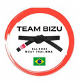 Imagem de perfil do parceiro Team Bizu Academia de Lutas