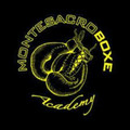 Immagine del profilo del partner Montesacro Boxe Academy