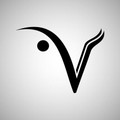 Imagen de perfil del partner V Pilates San Agustín