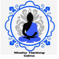 Imagen de perfil del partner Wushu Tianlong Copilco