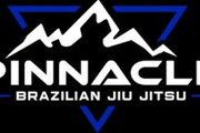Pinnacle Brazilian Jiu Jitsu Partner profile image