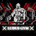 Imagen de perfil del partner LUDUS GYM Creando gladiadores