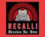 Necalli Jiu-Jitsu Partner profile image