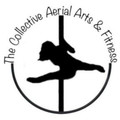 The collective aerial arts and fitness partner profile image