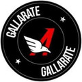 Immagine del profilo del partner Action Fit Gallarate