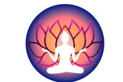 Yoga Roots Renew Partner profile image