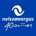 Imagen de perfil del partner Nelson Vargas - Coyoacán