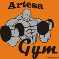 Imagen de perfil del partner Artesa Gym