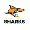 Imagen de perfil del partner Crossfit Tayburun Sharks