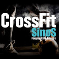 Imagem de perfil do parceiro CrossFit SinoS