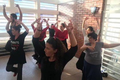 Imagem 2 da galeria do parceiro Instituto Alante – Arte Flamenco