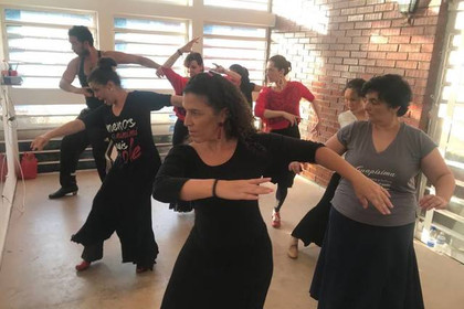 Imagem 3 da galeria do parceiro Instituto Alante – Arte Flamenco
