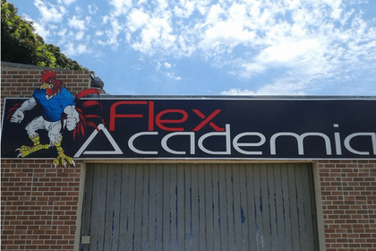Imagem 2 da galeria do parceiro Flex Academia