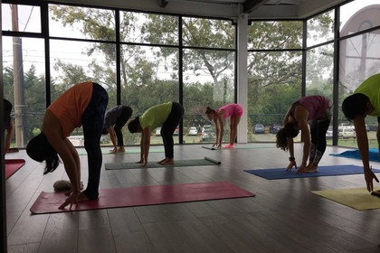 Imagen 4 de la galería del partner The Yoga Lab