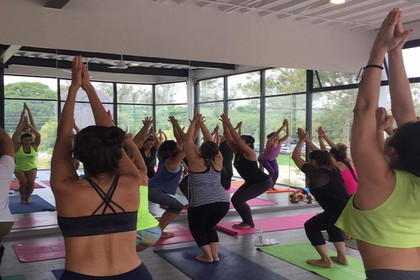 Imagen 5 de la galería del partner The Yoga Lab