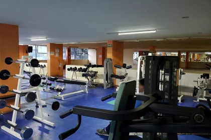 Imagen 10 de la galería del partner Loieros Gym Viaducto