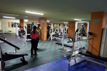 Imagen 11 de la galería del partner Loieros Gym Viaducto
