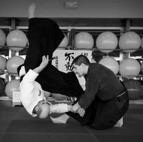 Immagine 1 dalla galleria del partner Doushin Dojo
