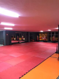 Imagem 2 da galeria do parceiro Grade Thaiboxing Gym